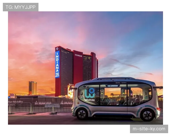 智能导览车自动驾驶线路 场馆内部交通效率优化